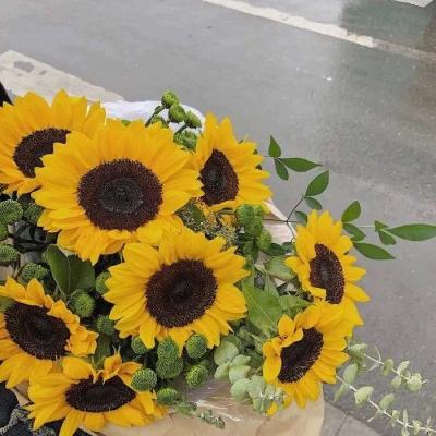 welcome 彩神8的最新网址